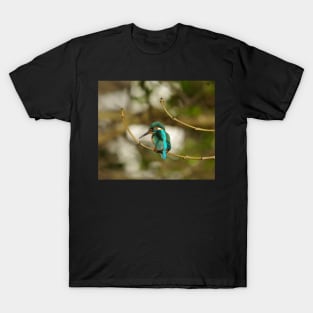 Kingfisher T-Shirt